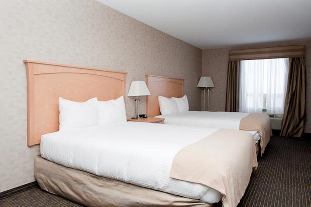 Paradise Inn And Suites Valleyview Room photo